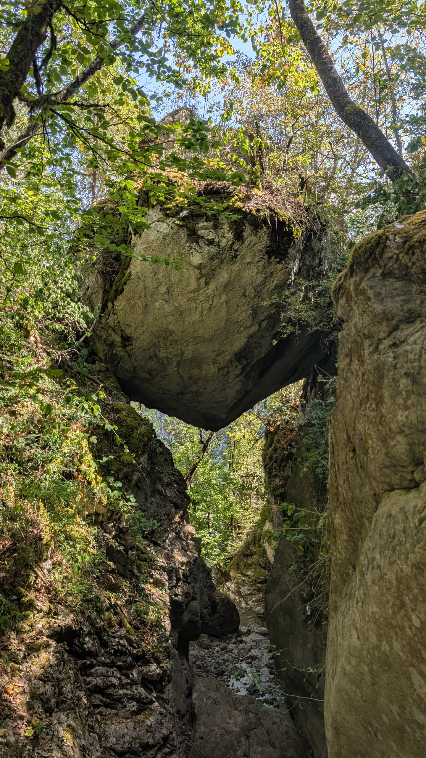 Cascades de Morette
