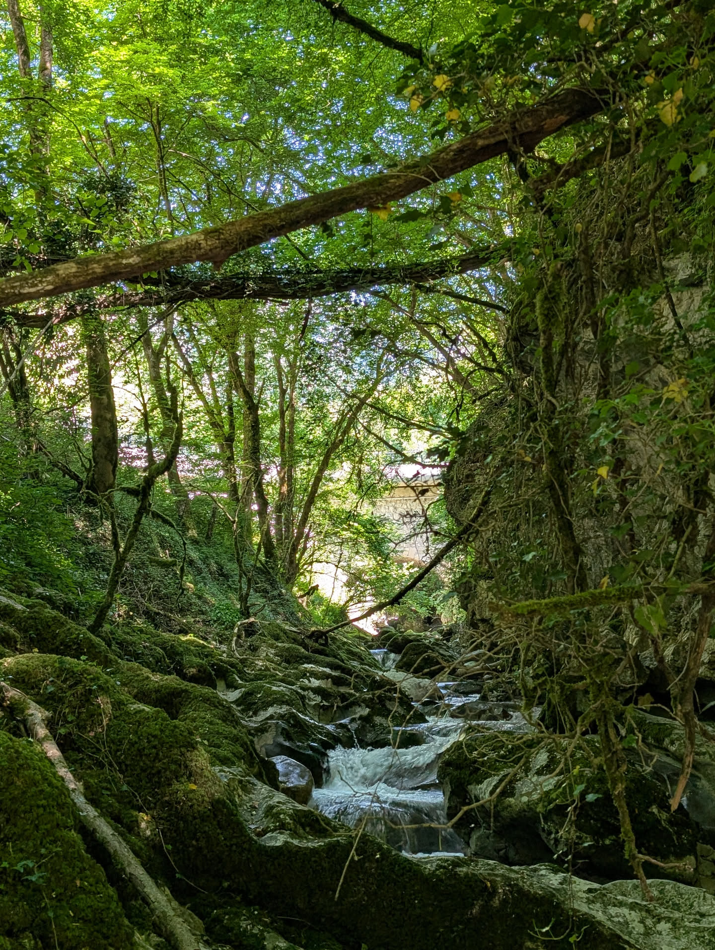 La Doria