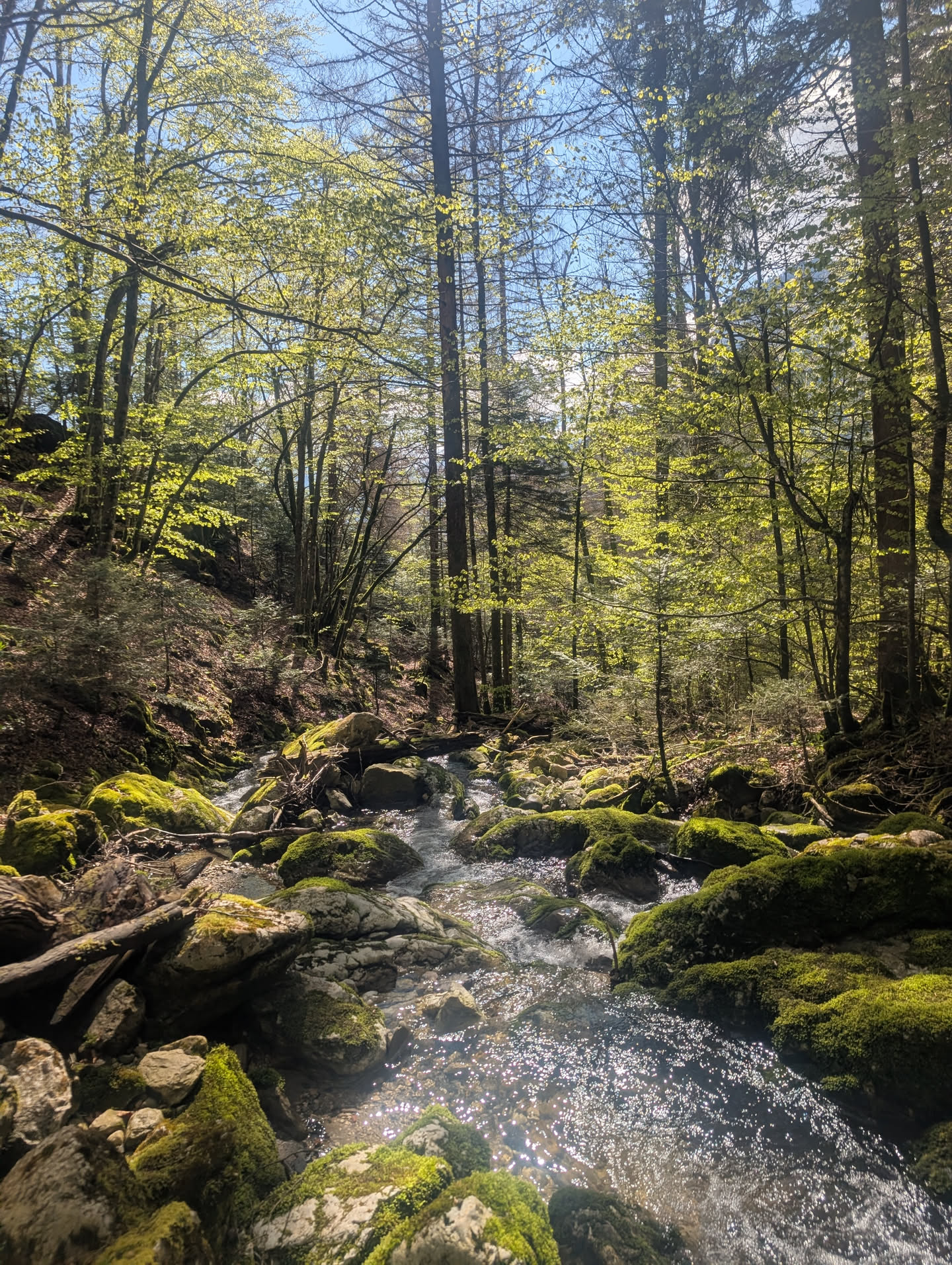 Ruisseau de la Mine