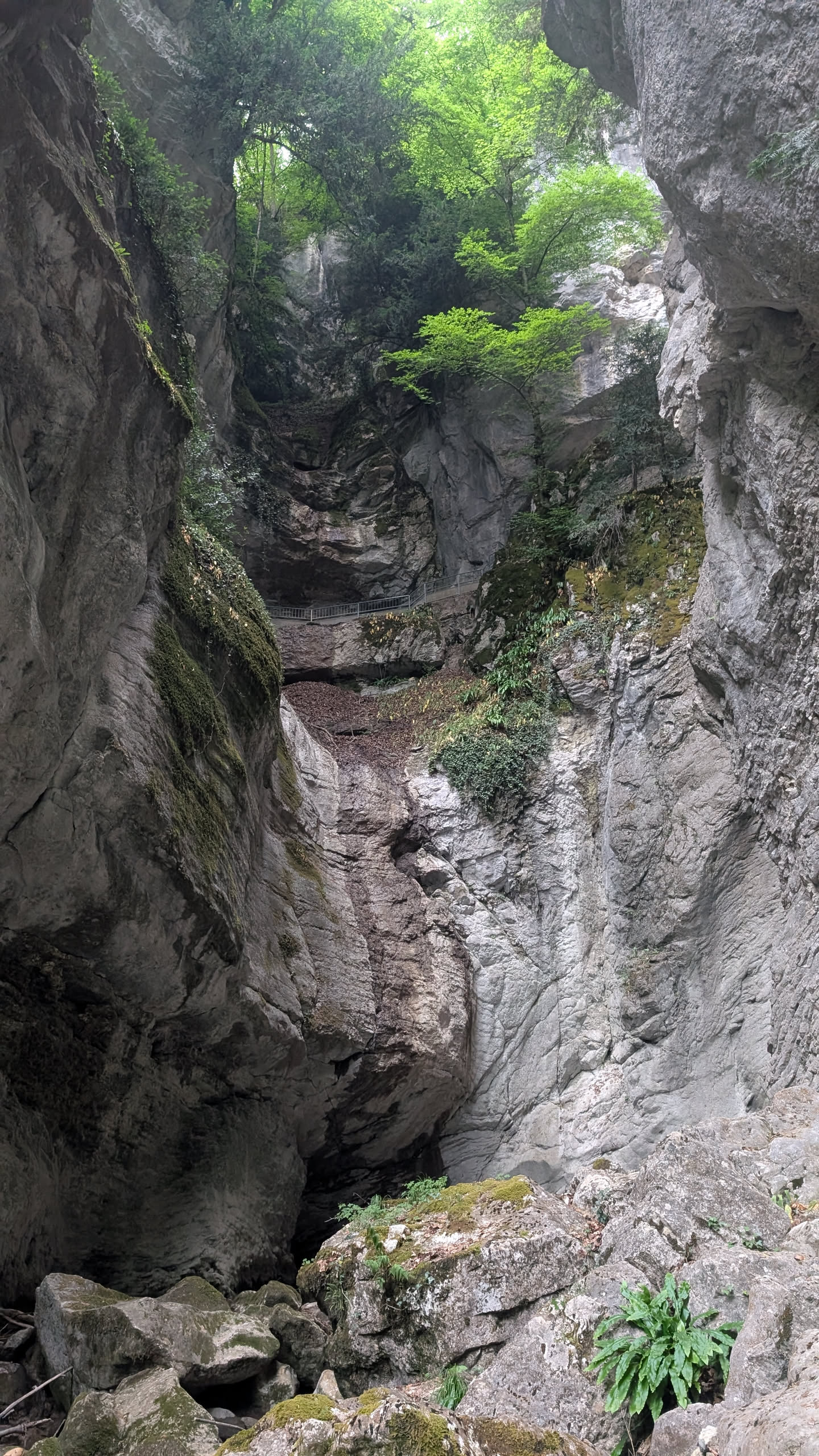 Le Canyon d' Angon