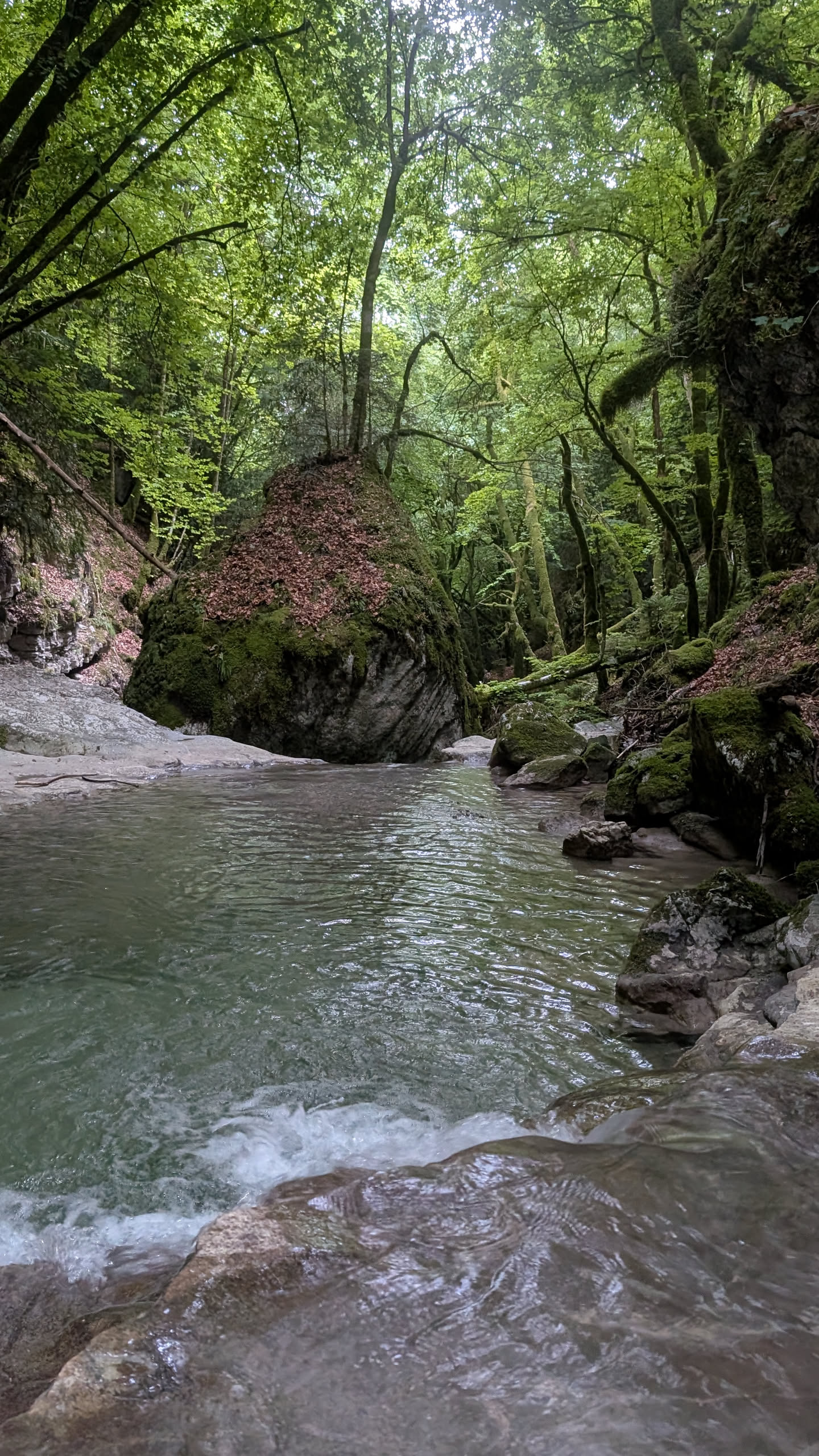 Le Canyon d' Angon