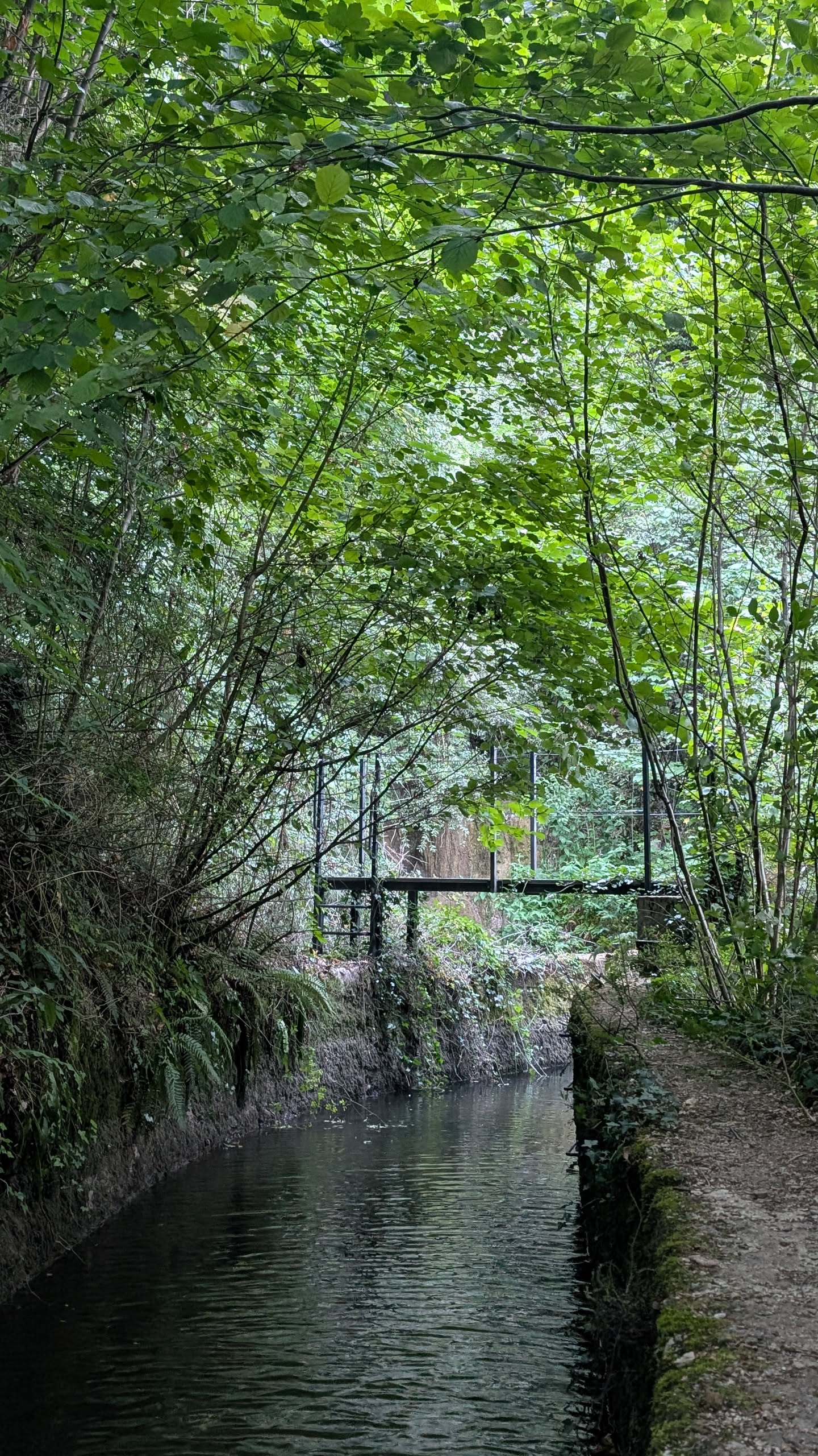 Gorges de Chailles Saint-Béron
