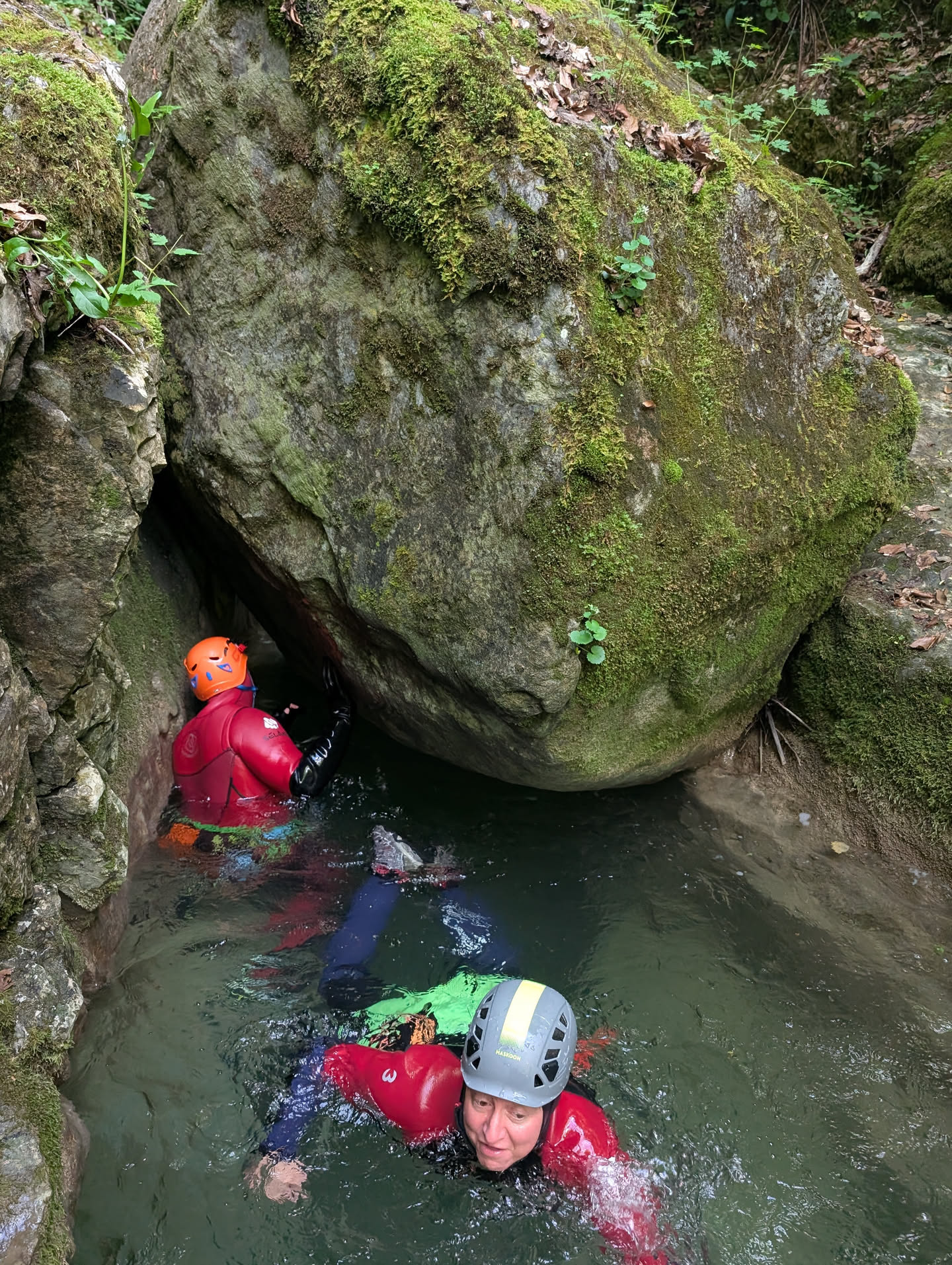Ruisseau de Ternèze