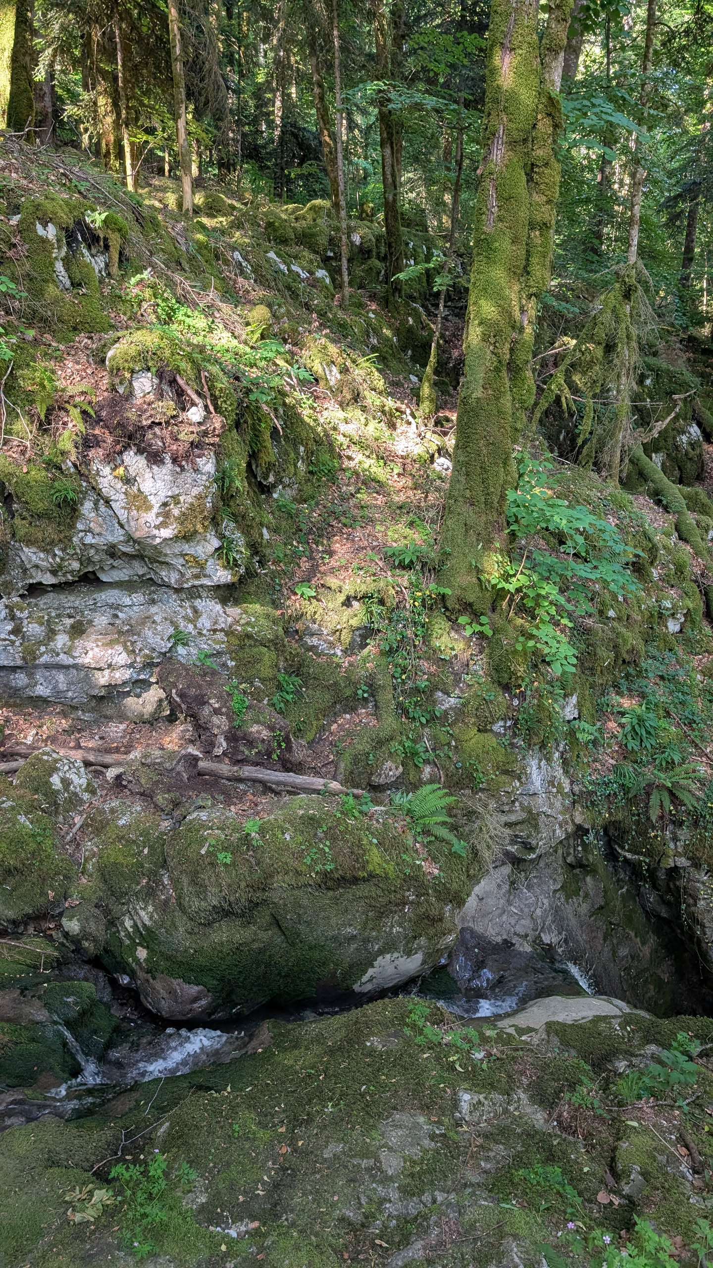 Cascades de la Belle Inconnue
