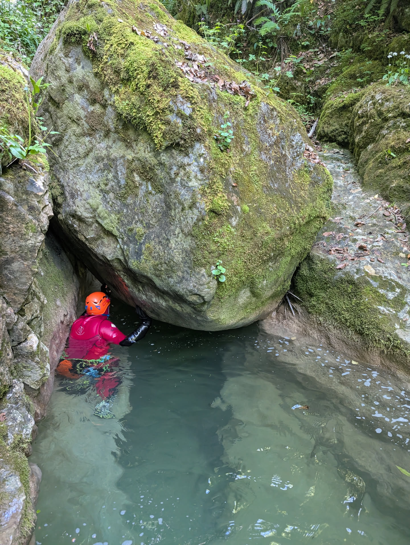 Ruisseau de Ternèze